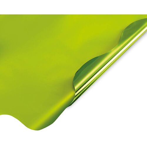 Celofan Rotund 50cm Bicolor Verde Metalizat Lucios/Mat 50/set